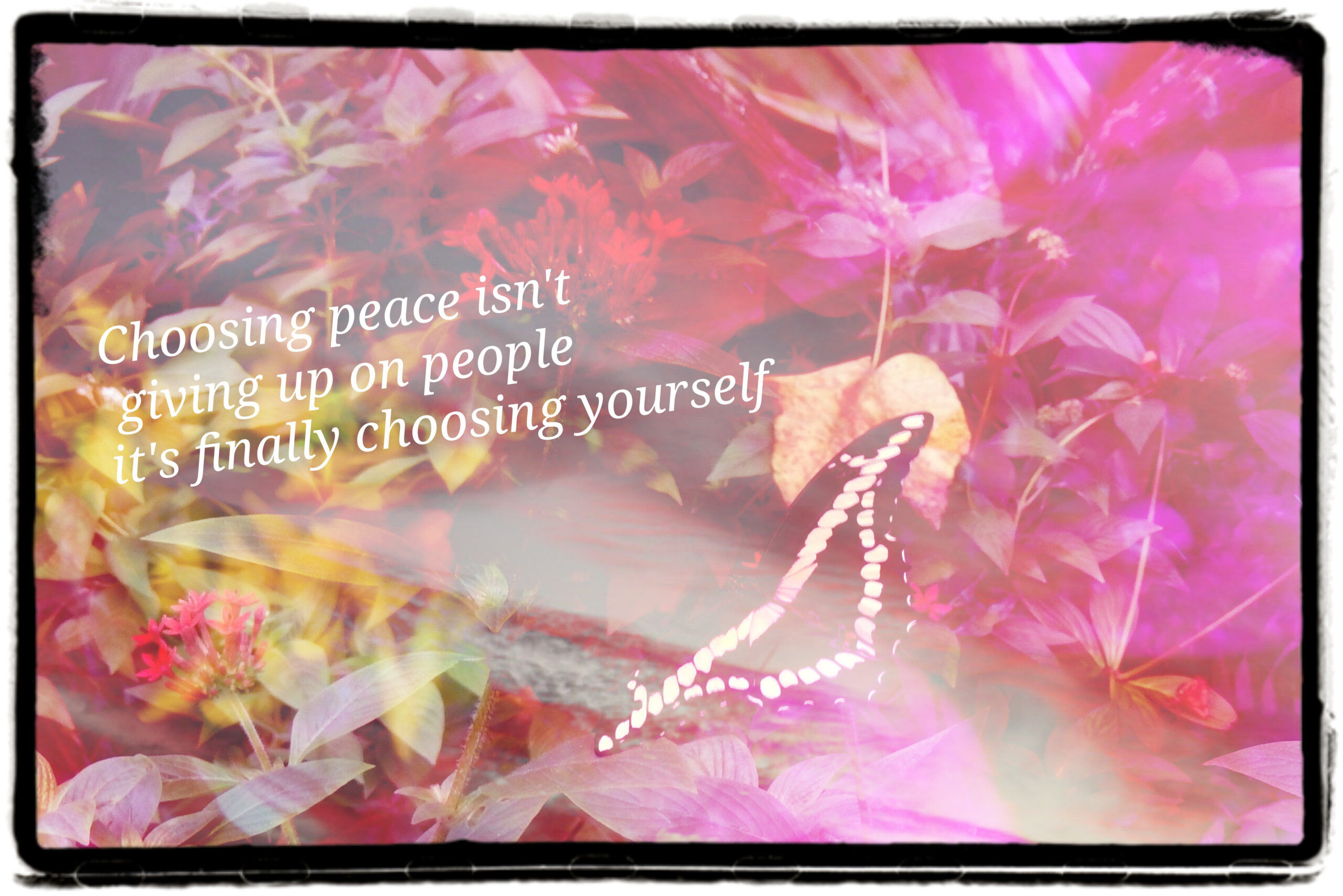 I’m Learning to Choose Peace