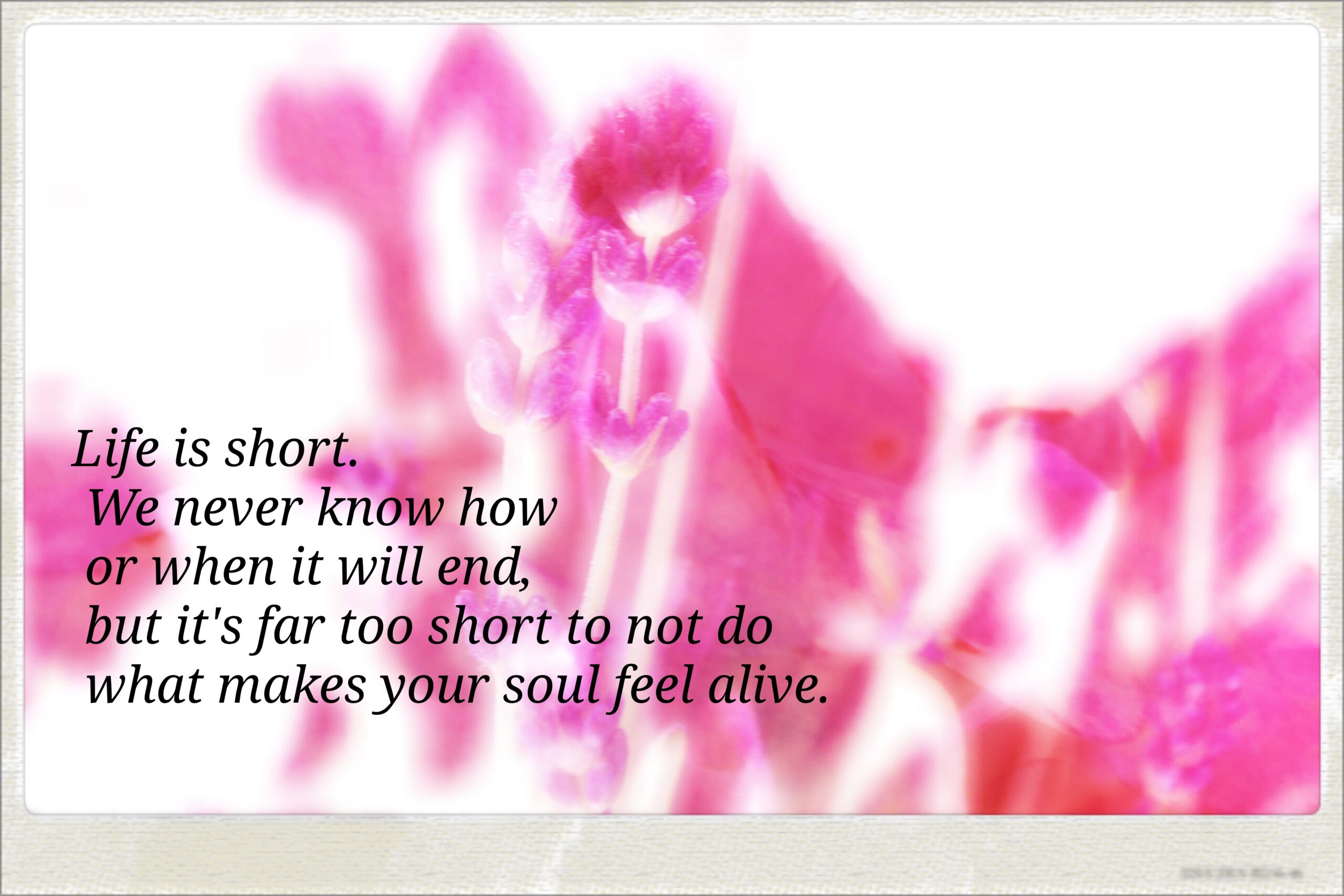 Learning to Let Go Softly