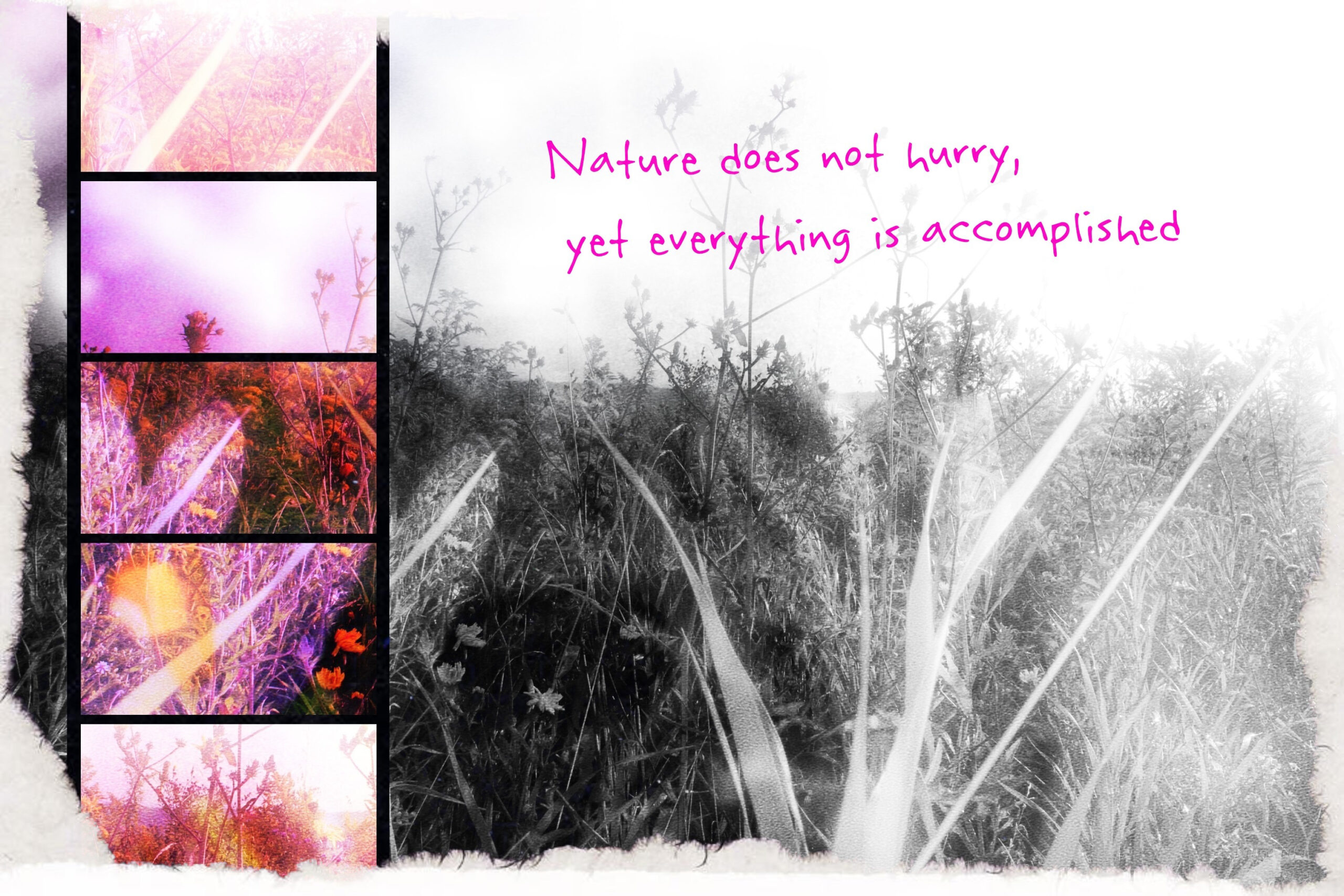 The Season of Undoing: Learning to Slow Down in a World That Never Stops
